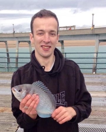 Deal Pier and Beach Catch Reports 2012, 2013 and 2014